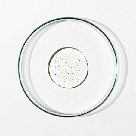 Grown Alchemist Rejuvenate Body Care Body Cleanser 300ml x 2 - Leaf Vegan Bio Certified