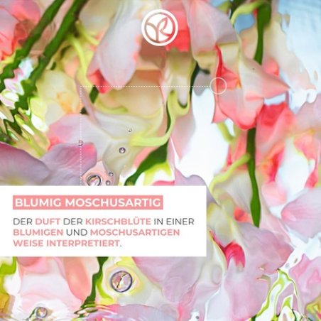 Yves Rocher La Collection Cherry Blossom Refreshing Shower Gel