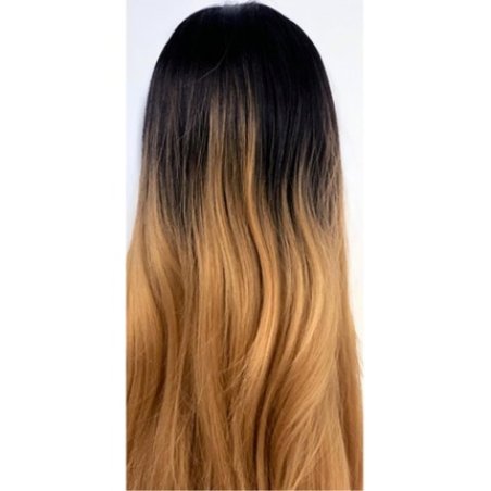 Sleek Spotlight Nadida Superior Synthetic Lace Wig Color Tt1b/27