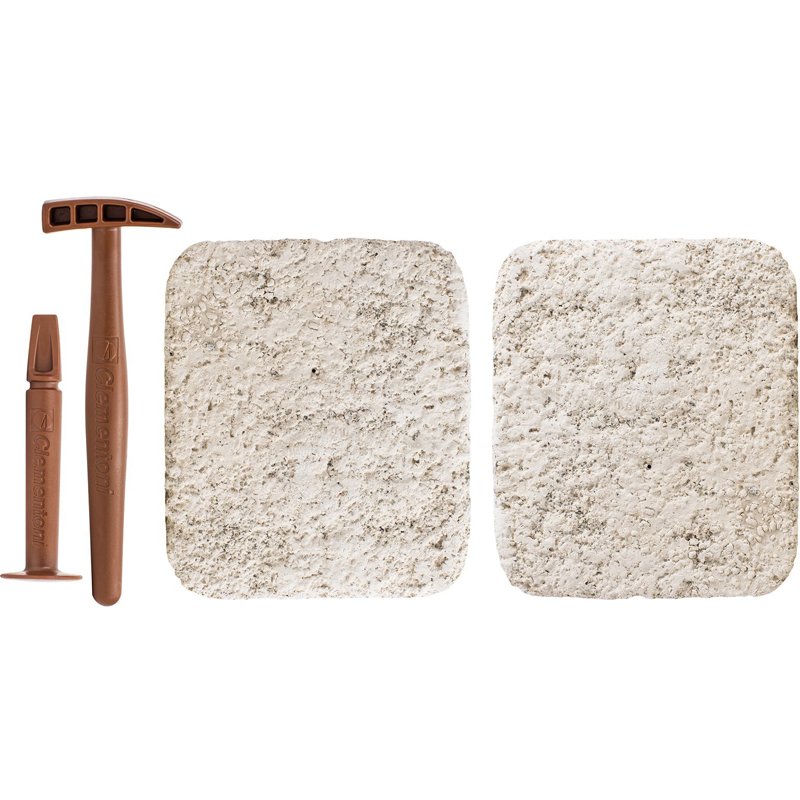 ARCHEO LUDIC TREX TRICERATOPS