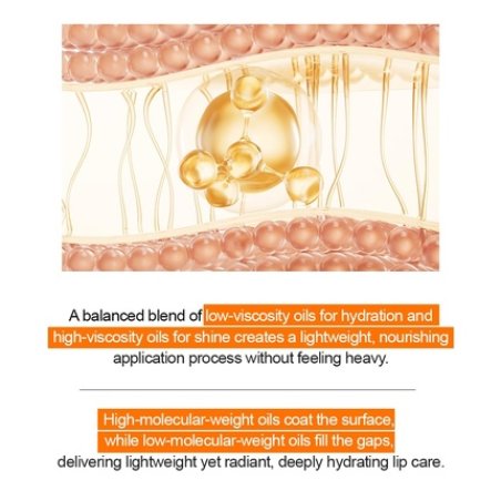 Pdrn Glazed Lip Treatment Hydrating and Plumping Lip Balm with Pdrn and Peptides