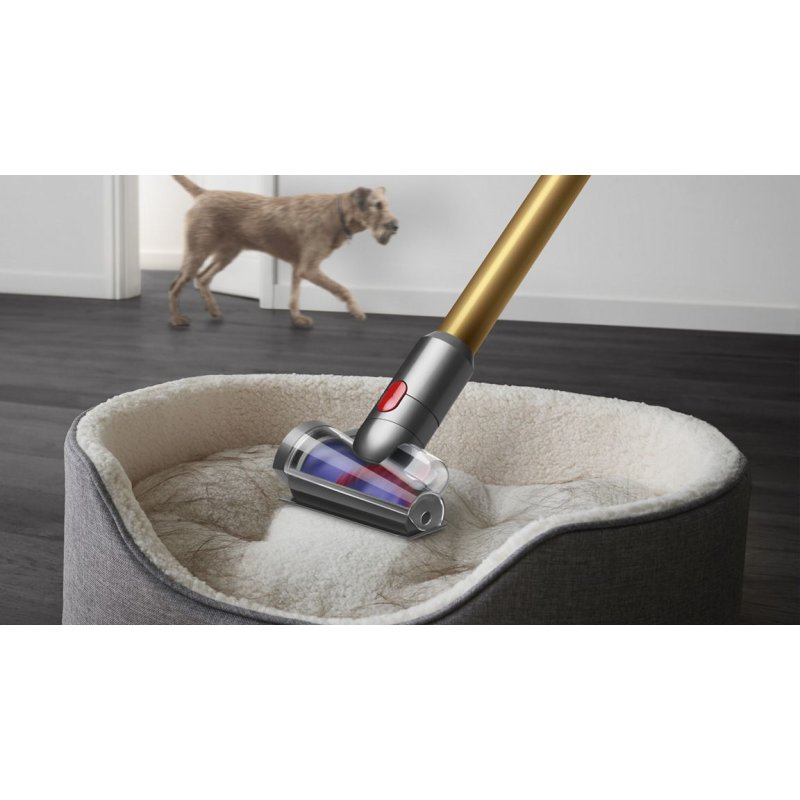 Dyson V12 Detect Slim Absolute Aspirateur-balai 2 en 1 Batterie Sec HEPA Sans sac Or