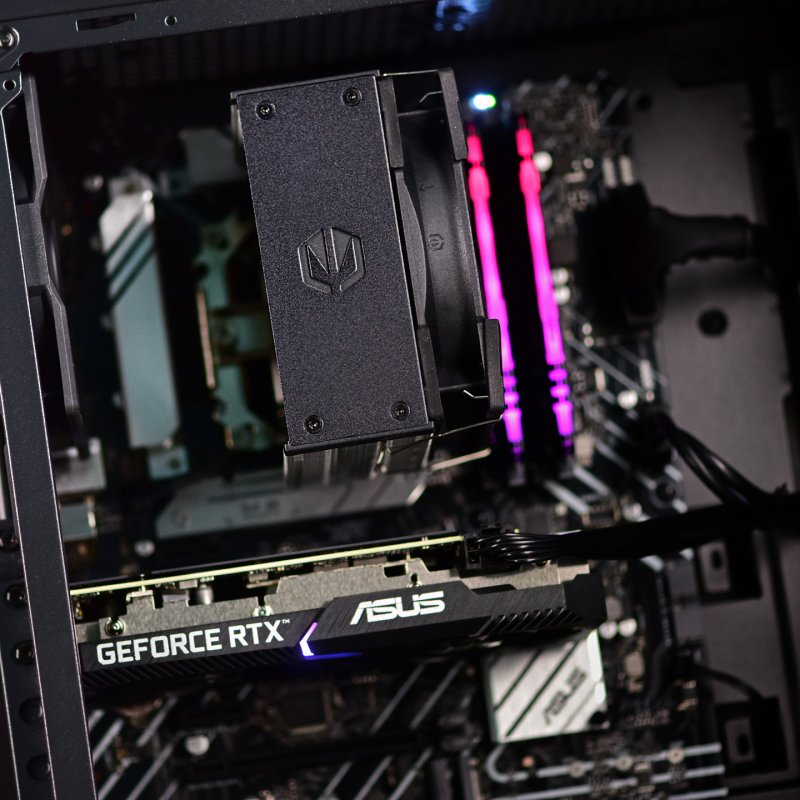 Actina 5901443421092 PC AMD Ryzen™ 5 5500 16 Go DDR4-SDRAM 1 To SSD NVIDIA GeForce RTX 5060 Midi Tower Noir