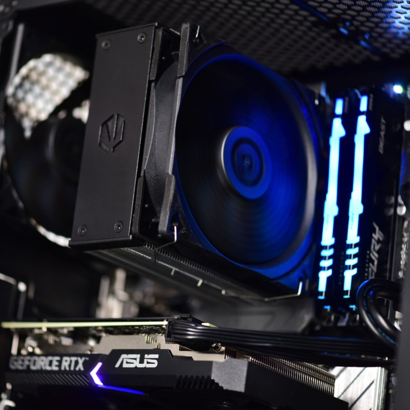 Actina 5901443421092 PC AMD Ryzen™ 5 5500 16 Go DDR4-SDRAM 1 To SSD NVIDIA GeForce RTX 5060 Midi Tower Noir