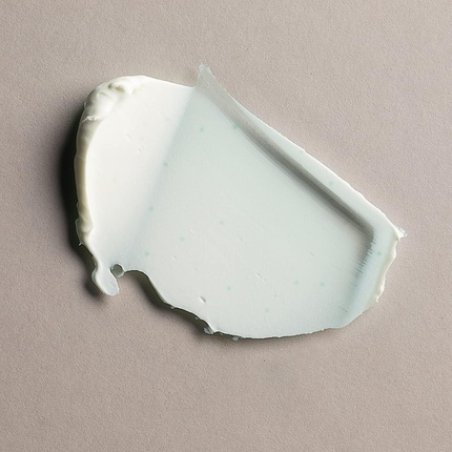 Antioxidising Day Moisturiser with SPF 20