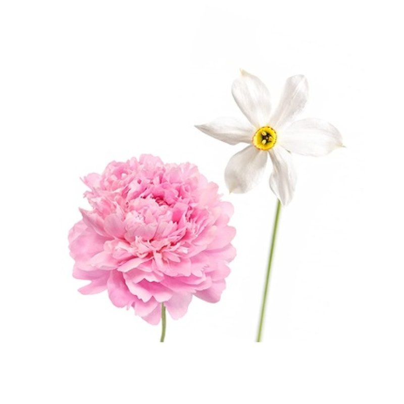 Derek Lam Hi-Fi EDP Spray