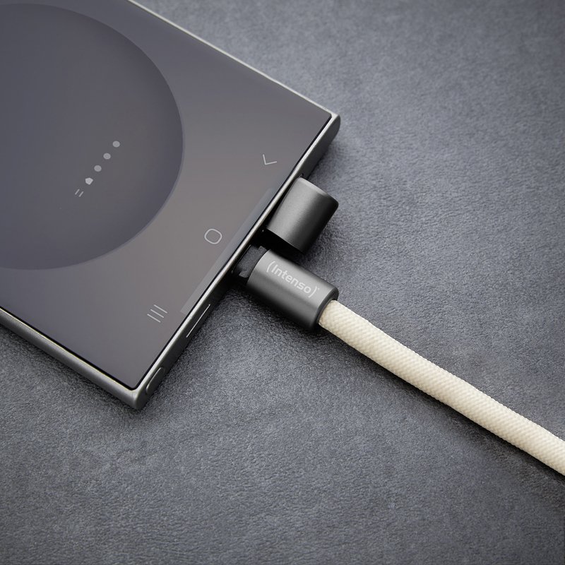 Intenso Lanière de Charge USB-C – Collier Câble pour Smartphone, Charge Rapide 60W, Longueur Réglable, 1,65 m