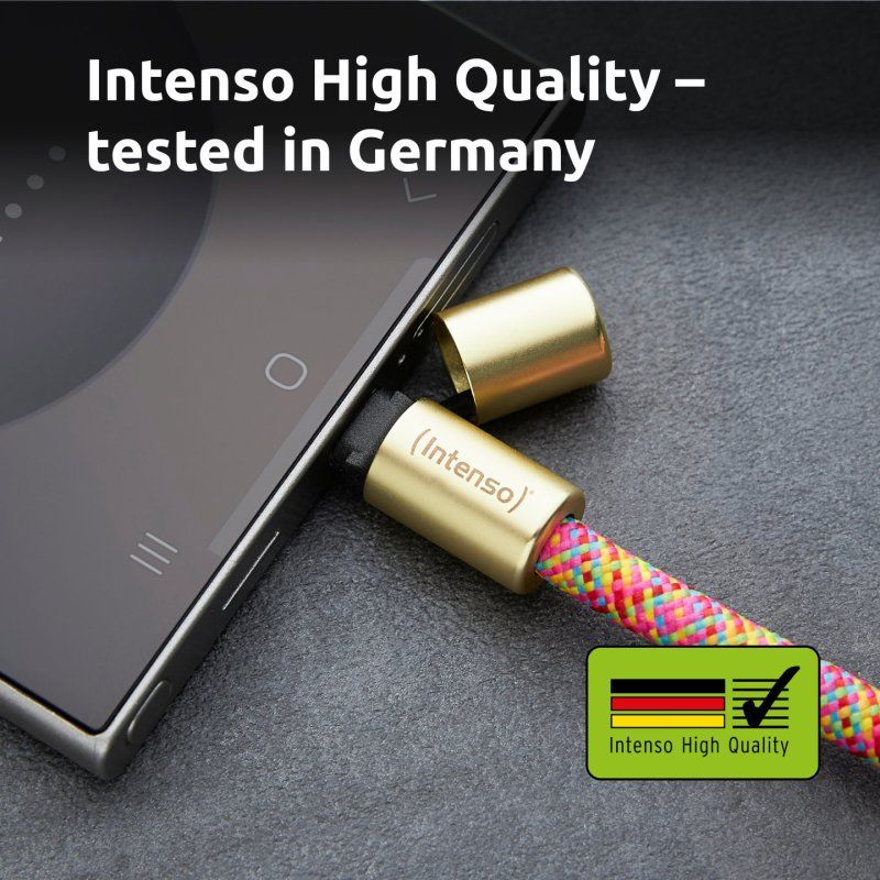 Intenso Lanière de Charge USB-C – Collier Câble pour Smartphone, Charge Rapide 60W, Longueur Réglable, 1,65 m