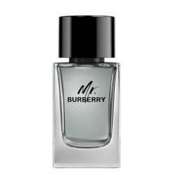 Burberry Mr. Burberry Eau De Toilette Spray 100ml - Product Without Packaging