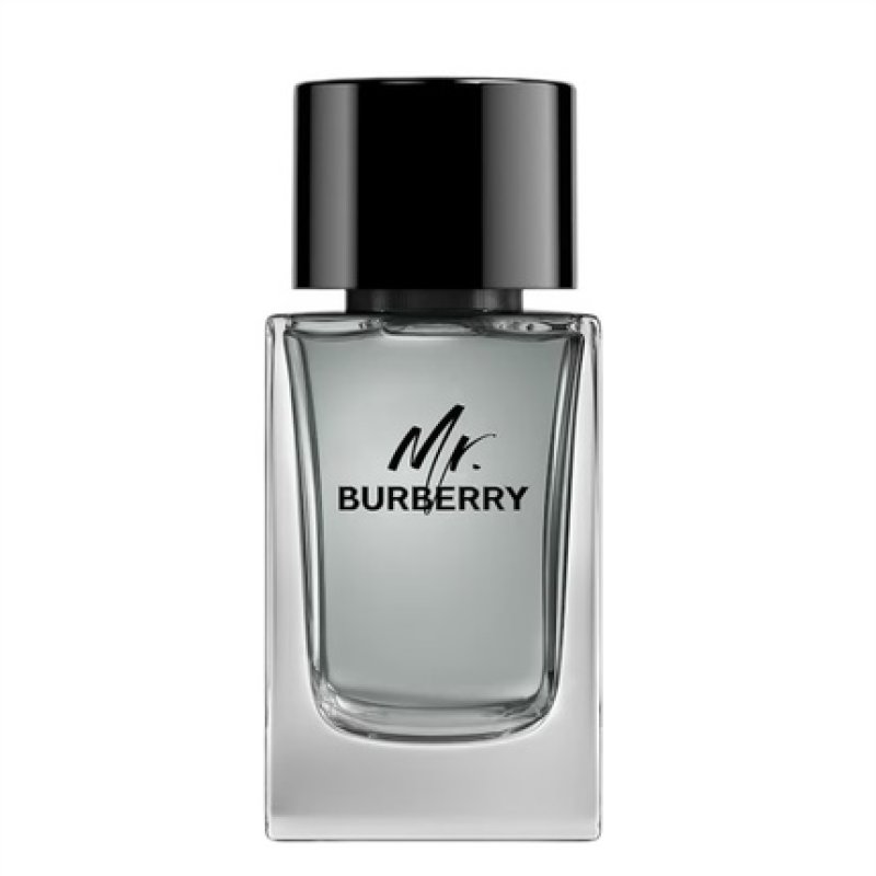 Burberry Mr. Burberry Eau De Toilette Spray 100ml - Product Without Packaging