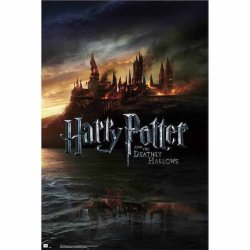 HARRY POTTER - Deadly Hallows - Poster 61x91cm
