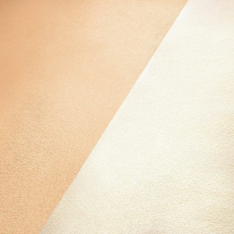 Laura Mercier Glow Powder Brush Powder Brush 100g