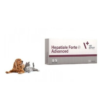 Vetexpert Hepatiale Forte Advanced Liver Supplement for Dogs and Cats