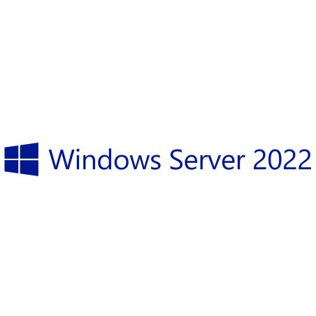 OEM Windows Server 2022 CAL 10 User
