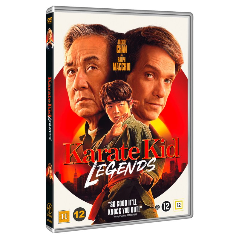 Karate Kid: Legends