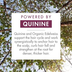 Klorane Strengthening Quinine and Organic Edelweiss Shampoo for Tired Hair and Hair Loss 400ml