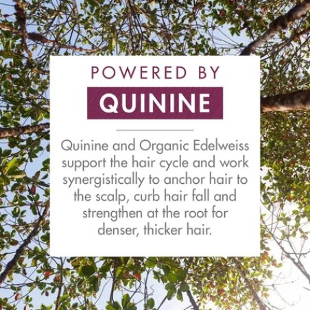 Klorane Strengthening Quinine and Organic Edelweiss Shampoo for Tired Hair and Hair Loss 400ml