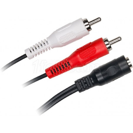 Câble adaptateur audio D2 Diffusion compatible Jack 3"1/2 Femelle vers 2 x RCA Male 15cm
