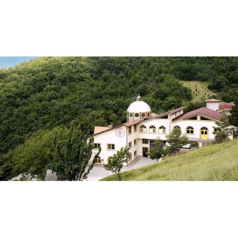 BRONVIS 500ml Liquid