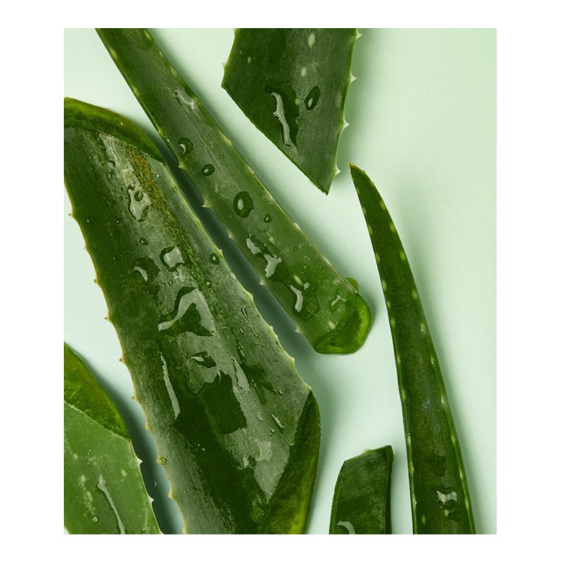 NIVEA Naturally Good Aloe Vera Day cream Face All ages 50 ml