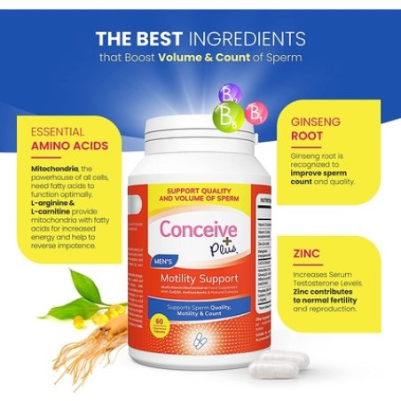 Conceive Plus Motility Supplement for Men Vitamin E Zinc Ginseng CoQ10 60 Capsules