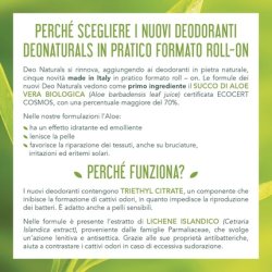 Roll-On Deodorant with Tea Tree 50ml - Purifying