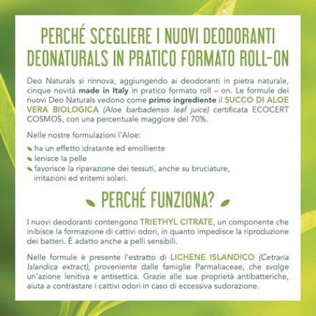 Roll-On Deodorant with Tea Tree 50ml - Purifying