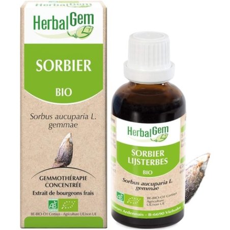 Herbalgem Organic Mountain Ash 30ml