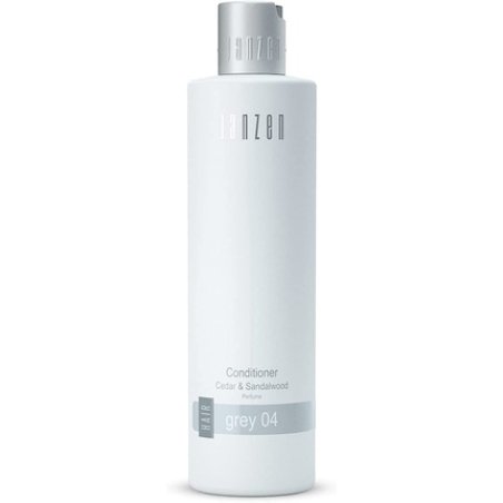 Janzen Grey 04 Conditioner