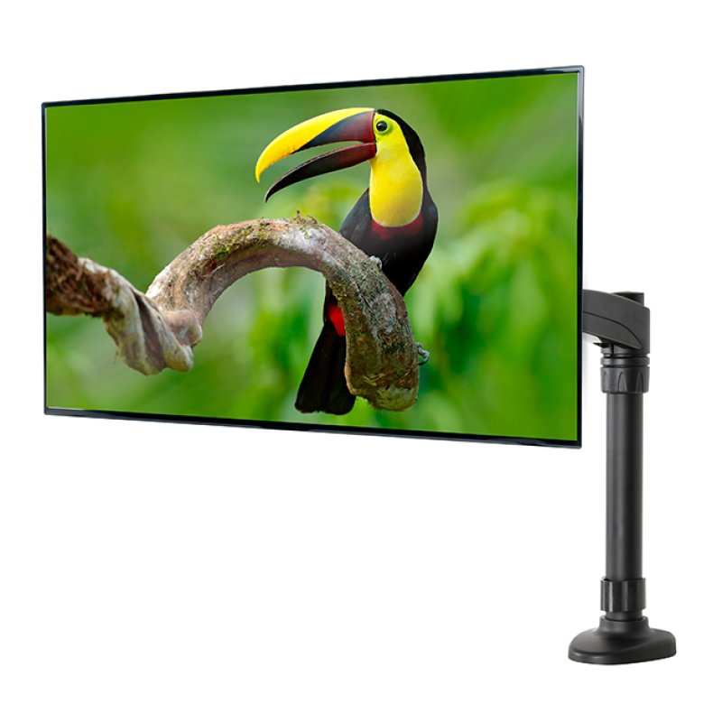 Flat Screen Desk Mount with Double Arm