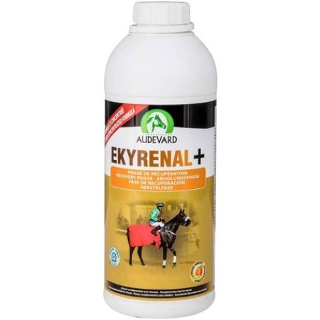 Ekyrenal E091 Audevard Plus 5L NDR 18/8 Stainless Steel