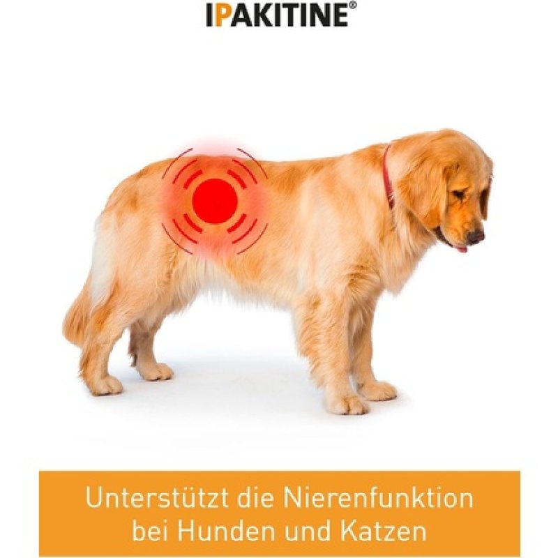 Vetoquinol Ipakitine 180g