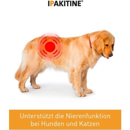 Vetoquinol Ipakitine 180g