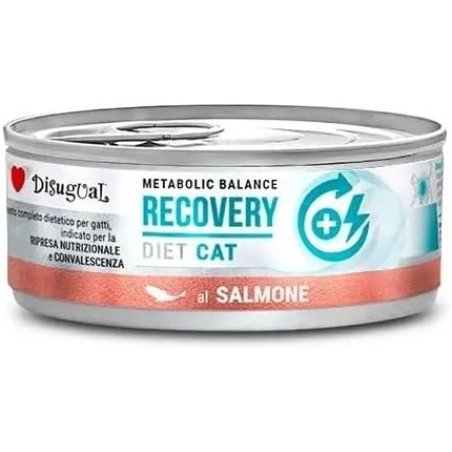 Disugual Diet Cat Recovery Salmon 12 x 85g