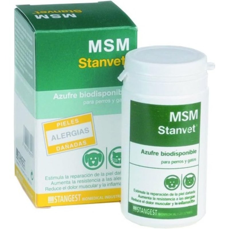 Stangest MSM 60 Capsules