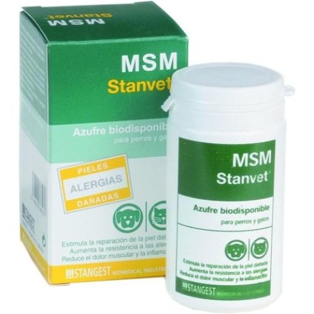 Stangest MSM 60 Capsules