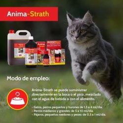 Stangest Animastrath Nutritional Supplement for Companion Animals