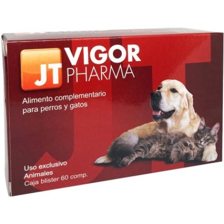 Jt Vigor Pharma 60 Capsules