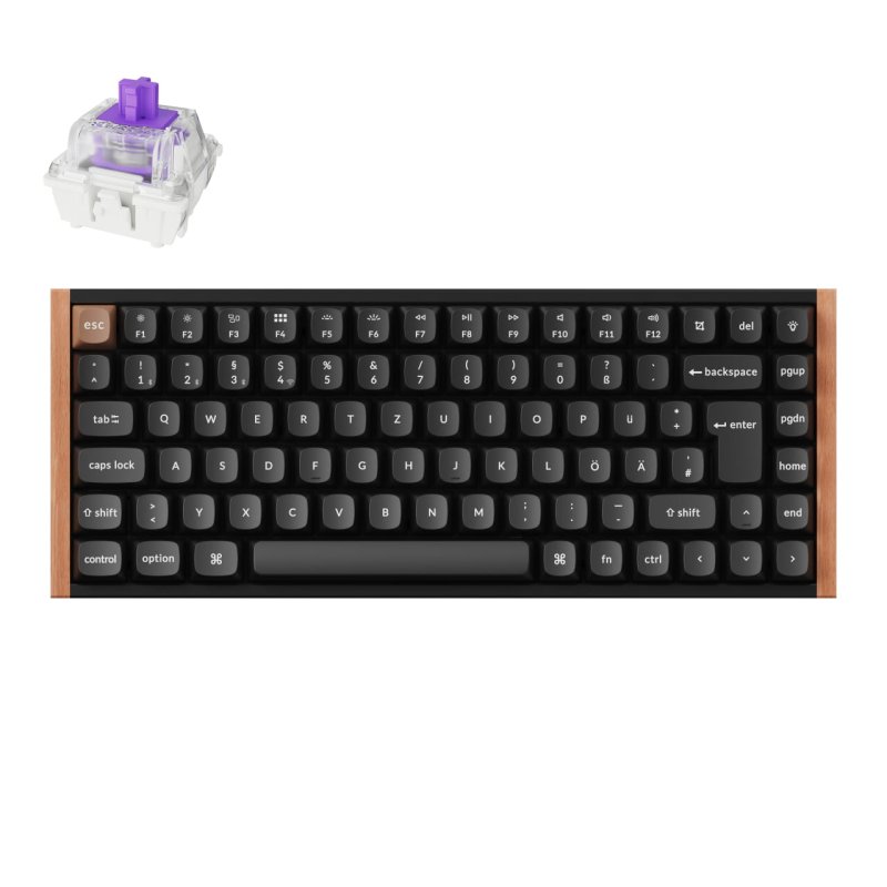 Keychron K2 HE Knob 75% Alu RGB Gateron Magnetic bk H