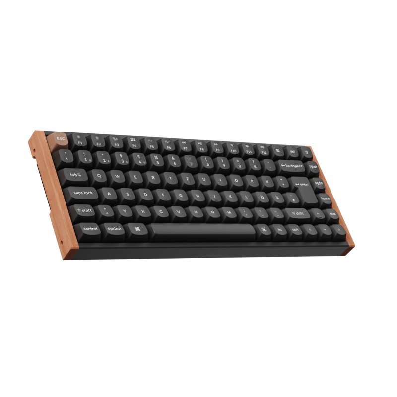 Keychron K2 HE Knob 75% Alu RGB Gateron Magnetic bk H