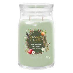 Yankee Candle 2653158E bougie en cire Rond Vert, Transparent 1 pièce(s)