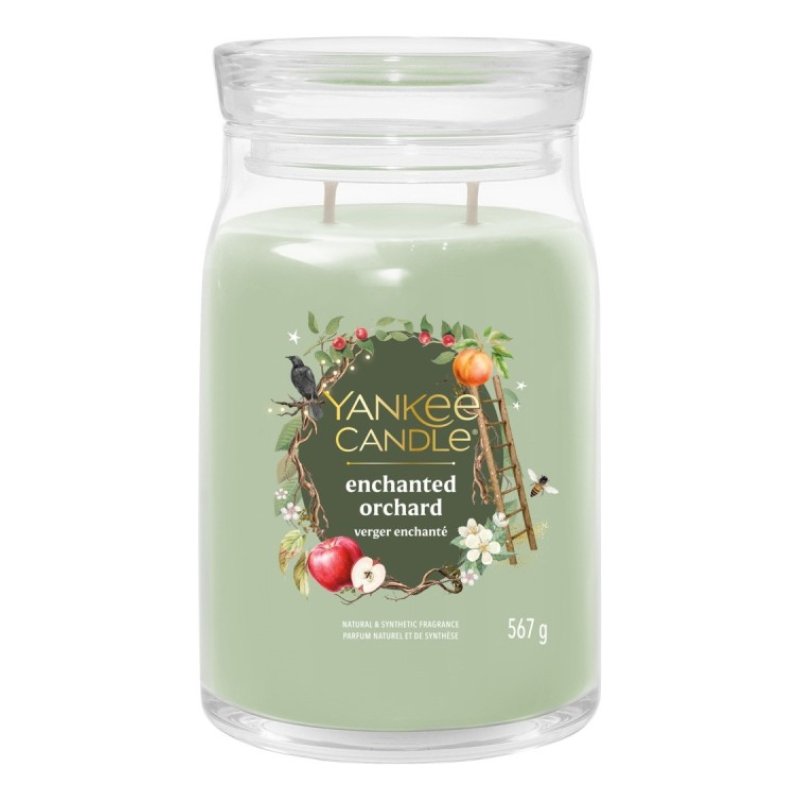 Yankee Candle 2653158E wax candle Round Green, Transparent 1 pc(s)