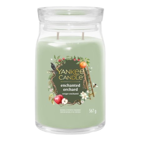 Yankee Candle 2653158E wax candle Round Green, Transparent 1 pc(s)