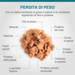 Specific Weight Reduction FRW 7 x 100g - Pack of 7