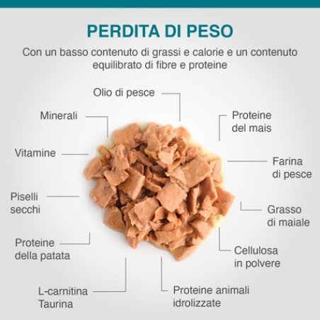 Specific Weight Reduction FRW 7 x 100g - Pack of 7