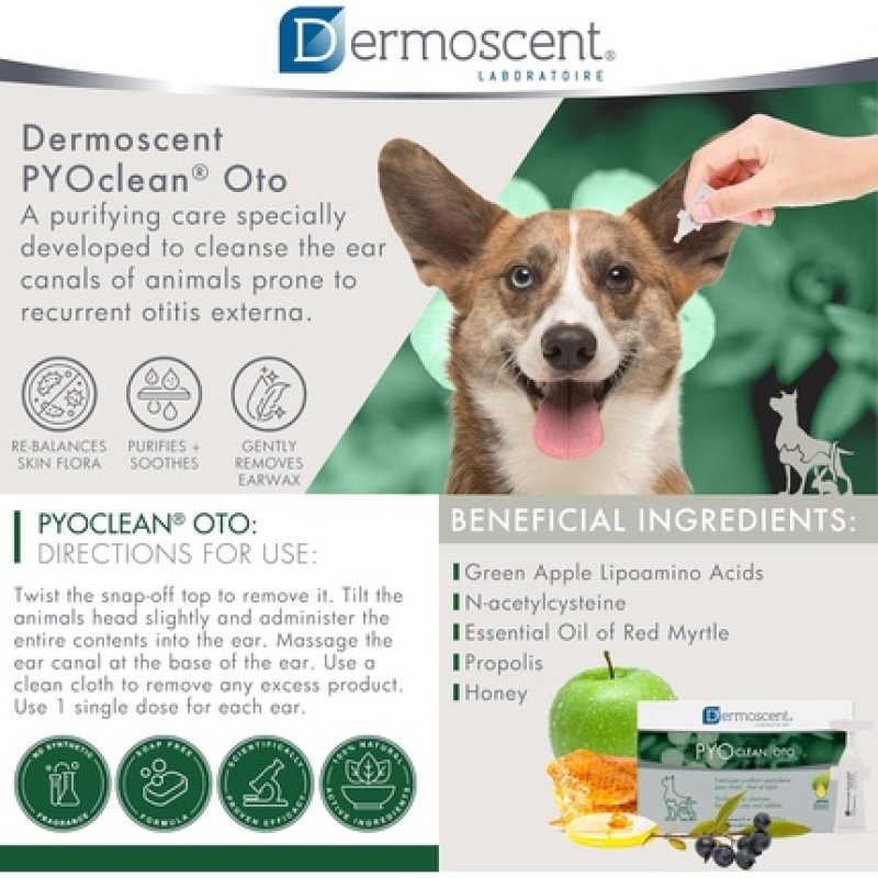 Pyoclean Oto Cat & Dog Ear Cleaner Solution - Dog Ear Drops to Stop Wax Build-Up