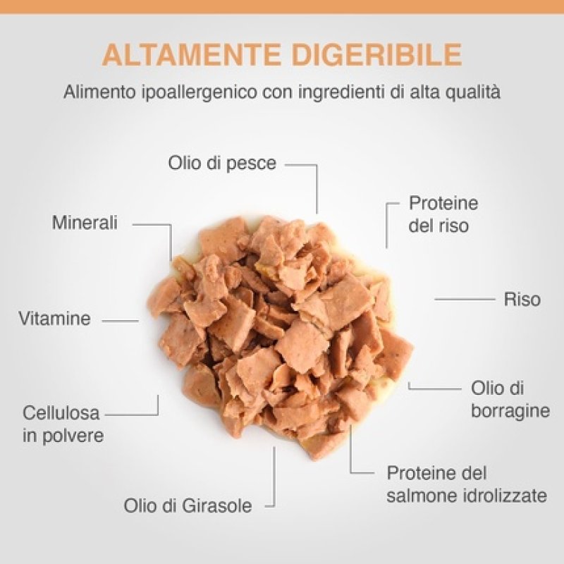 Specific Allergy Management Plus Cow-Hy 300g - Pack of 6