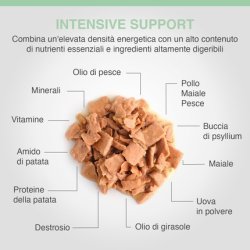 Specific FDW Food Allergy Management 700g