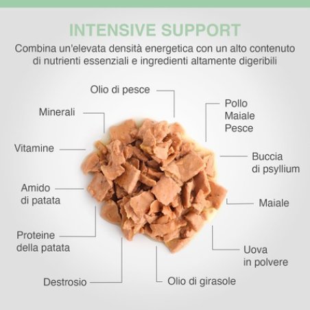 Specific FDW Food Allergy Management 700g