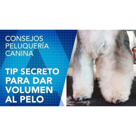 Artero Zoom Conditioner Foam